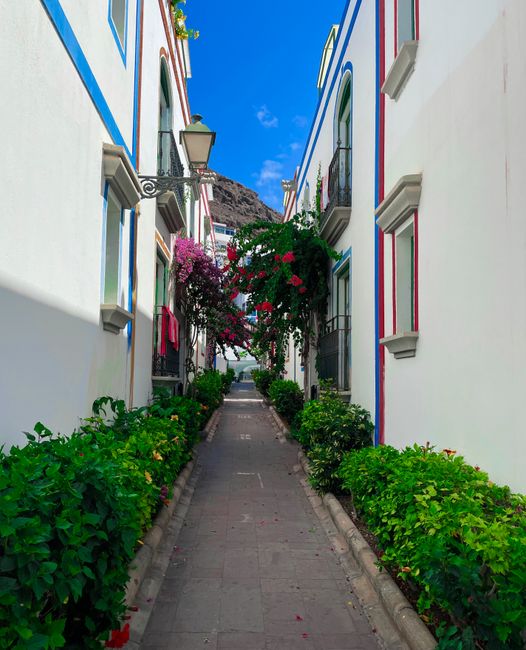 A narrow street lined with white buildings featuring colorful trim in red, blue, and green, with blooming bougainvillea and other flowering plants cascading from balconies and hanging over the pathway