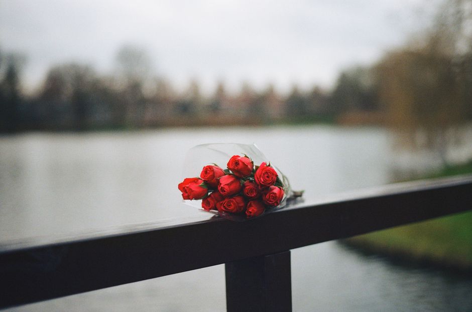 A bouquet of red roses with tightly wound petals and fresh green stems, wrapped in clear plastic, rests on a black metal railing overlooking a waterway. The bouquet is casually placed, with some roses
